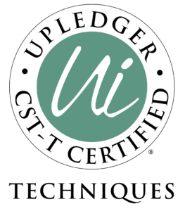 Ui Cst T Certified Logo Color